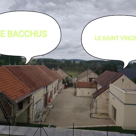 Le Bacchus Villa Chablis Luaran gambar