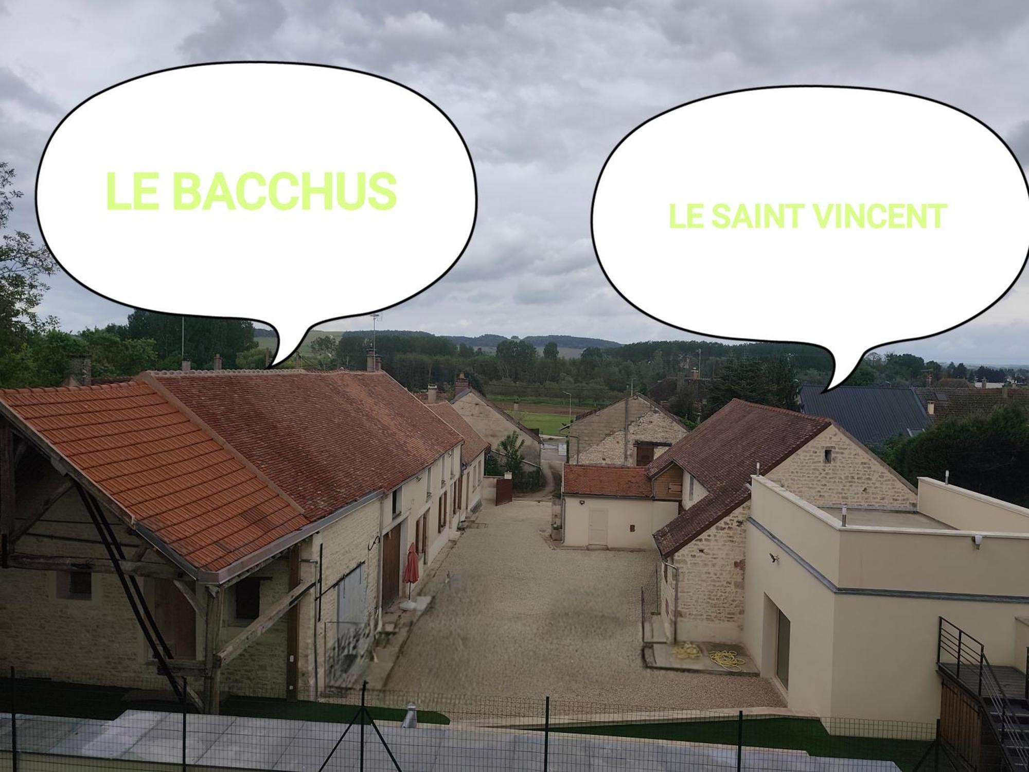 Le Bacchus Villa Chablis Luaran gambar